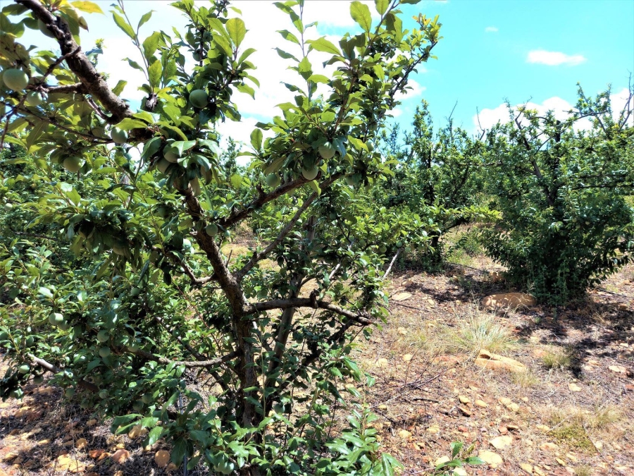 0 Bedroom Property for Sale in Uniondale Rural Western Cape